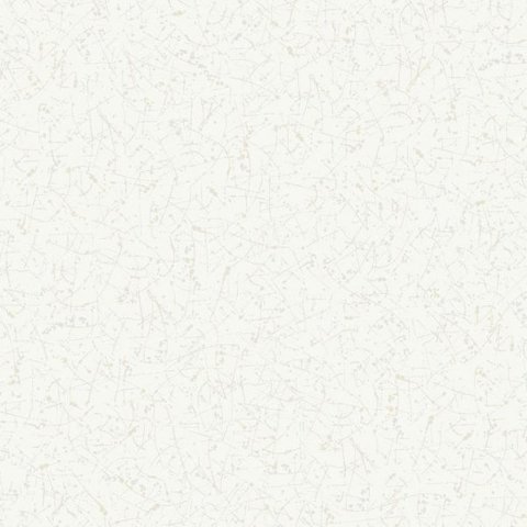 Обои Erismann RU Light 2 4273-2