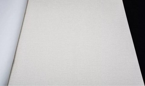 Обои Rasch Florentine 1 448504