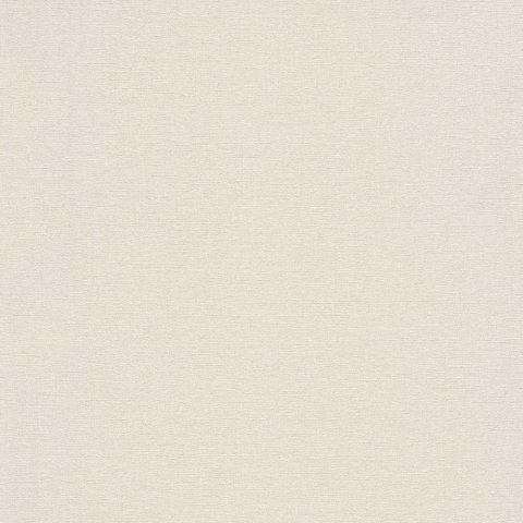 Обои Rasch Denzo 2 448641