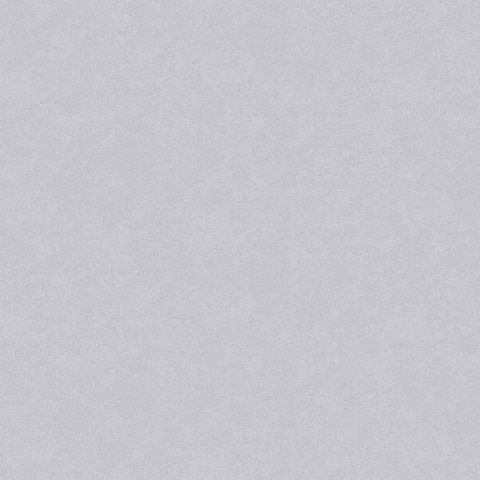 Обои Erismann RU Light 1 4544-7