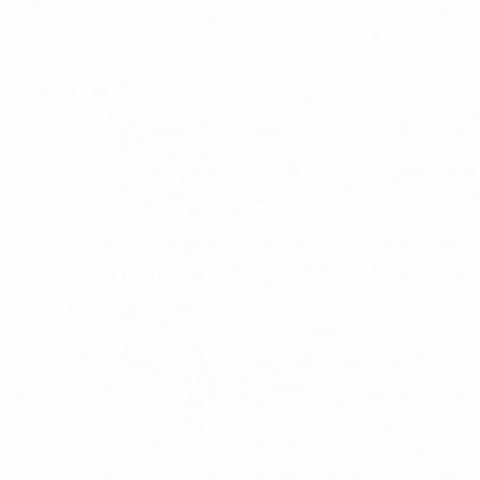 Обои Erismann RU Light 1 4556-5