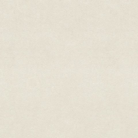 Обои Rasch Vincenza 467116