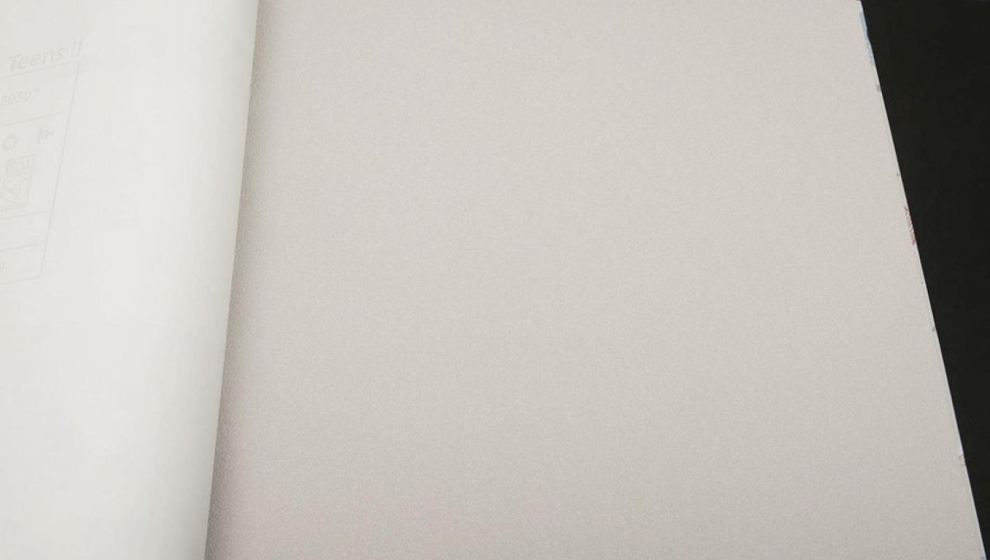 Обои Rasch Kids Teens 2 469004