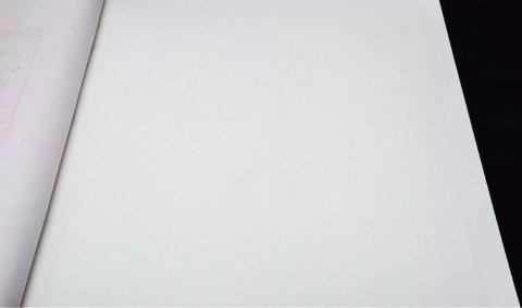 Обои Rasch Kids Teens 3 489507