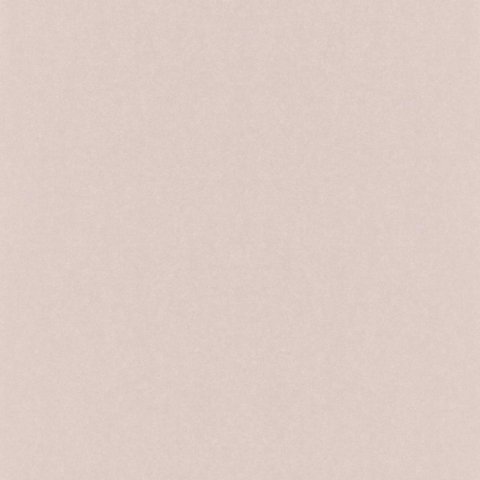 Обои Rasch Kerala 501148