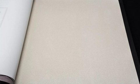 Обои Bernardo Bertolucci Blue Ragazza 5042-4