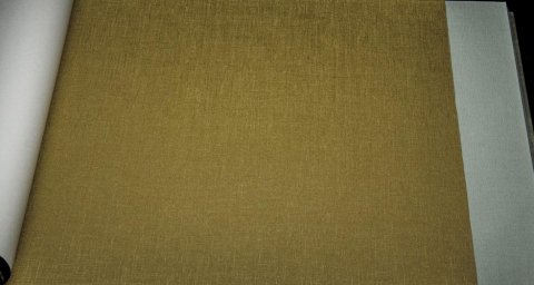 Обои Rasch Palace 517033