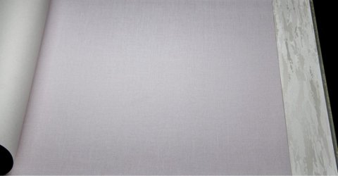 Обои Rasch Palace 517064