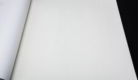 Обои Rasch Mandalay 528510