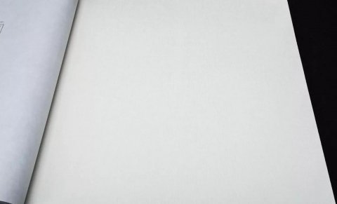 Обои Rasch Club Botanique 531305