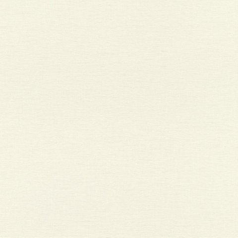 Обои Rasch Bambino 18 531411