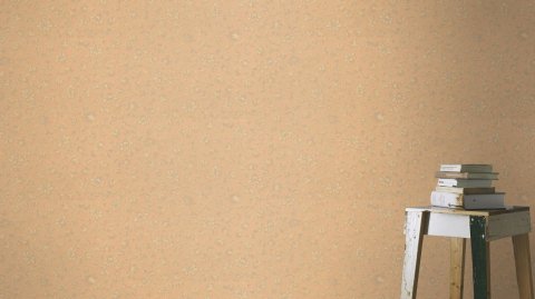 Обои Rasch Trianon 12 532456