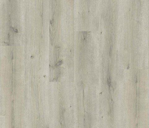 Ламинат Haro Daily Edition 541339 Дуб Бреда светло-серый