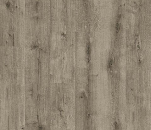 Ламинат Haro Daily Edition 541345 Дуб Калла серый
