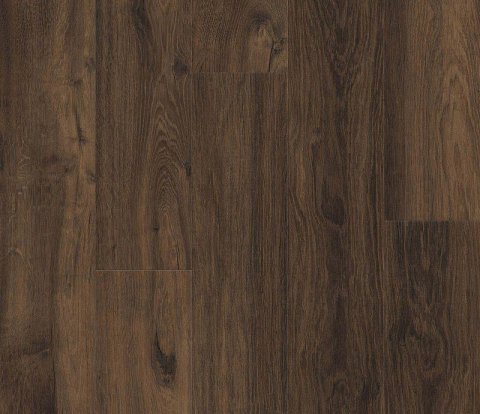 Ламинат Haro Daily Edition 541348 Дуб Мора дымчатый