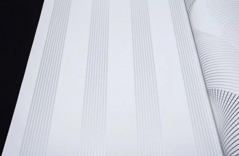 Обои Andrea Rossi Razzoli 54178-1