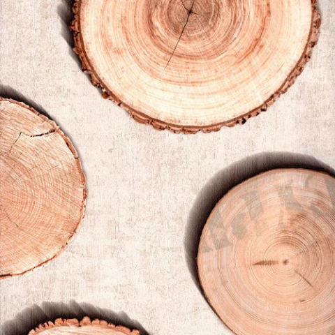 Обои Andrea Rossi Sicily 54206-1