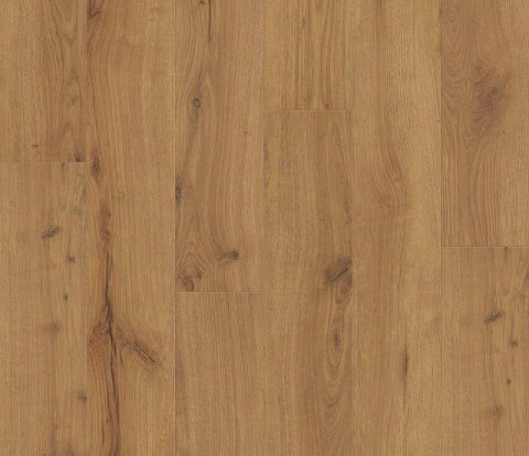 Ламинат Haro Tritty 100 Campus 4V 532063 Дуб Альпийский натур