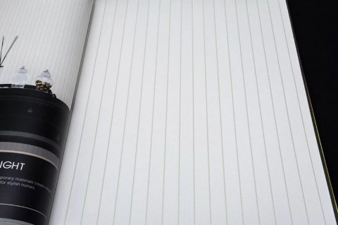 Обои Andrea Rossi Arlequin 54299-1