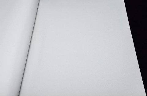 Обои Andrea Rossi Arlequin 54305-2