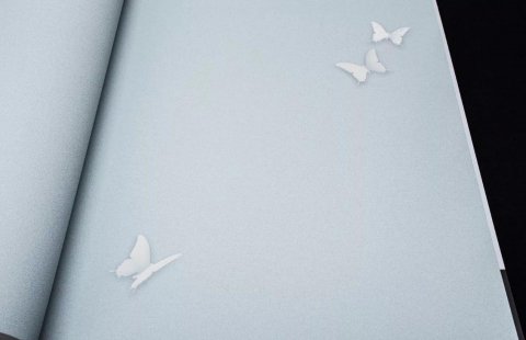 Обои Andrea Rossi Gallinara 54309-5