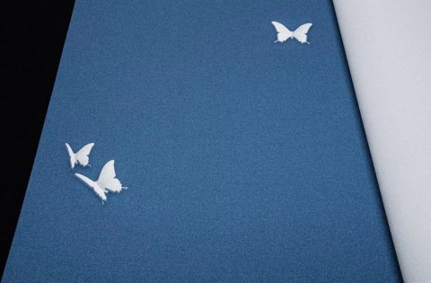 Обои Andrea Rossi Gallinara 54309-6