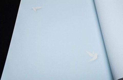 Обои Andrea Rossi Spectrum 54338-2