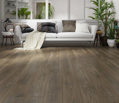 Ламинат Westerhof Gloria Camsan 6000 Пальмира