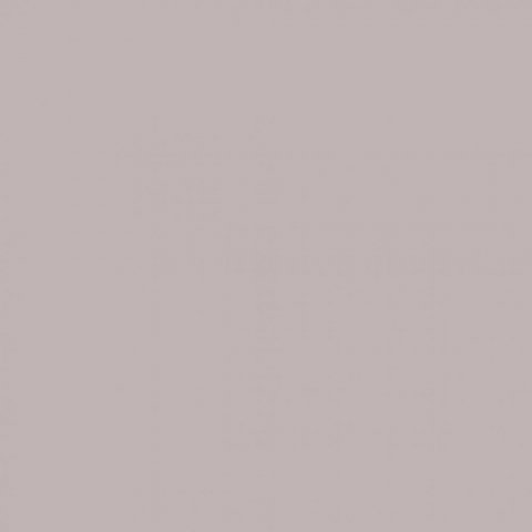 Обои Erismann RU Nicole 60046-06