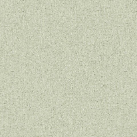 Обои Erismann RU Bolero 60192-02