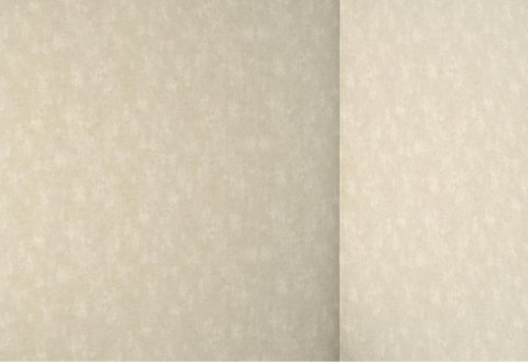 Обои Rasch Lucera 609042