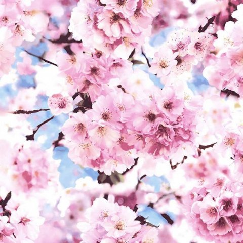 Обои Erismann RU Trend 3 6142-3