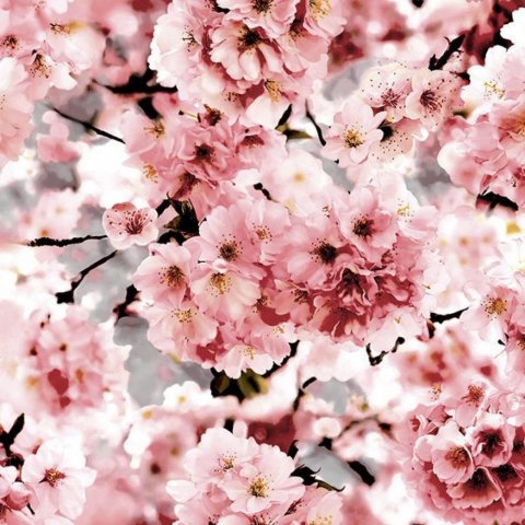 Обои Erismann RU Trend 3 6142-4