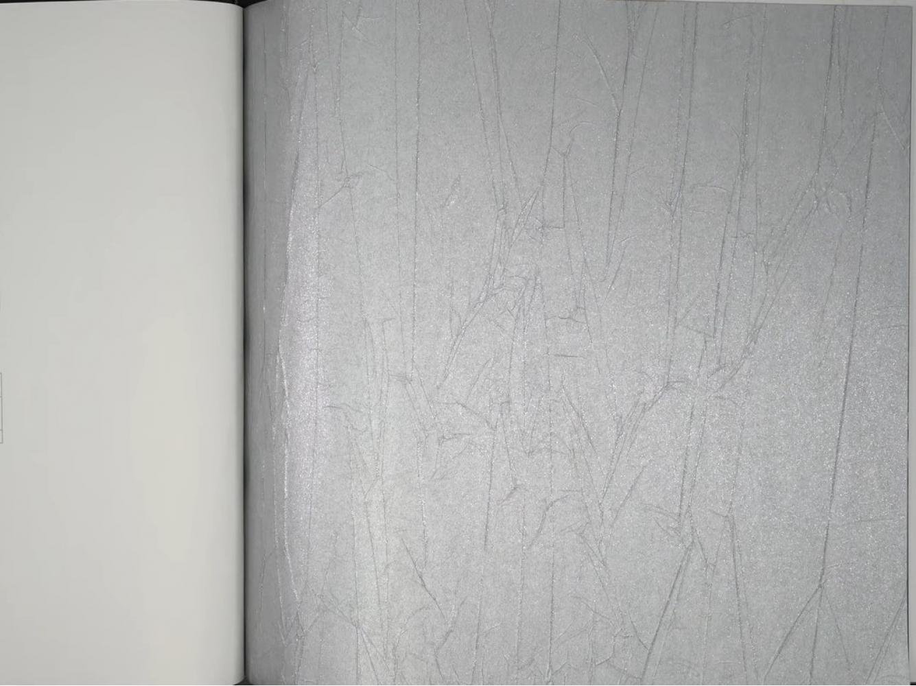 Обои Marburg Crush Motion 63416