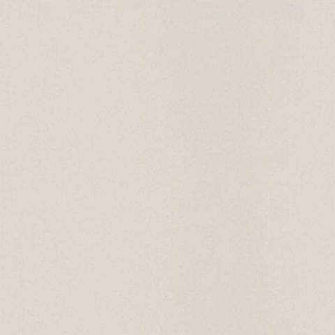 Обои Caselio Pretty Lili 66329145