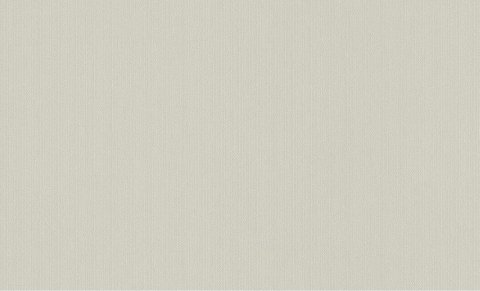 Обои Rasch Maximum New 805833