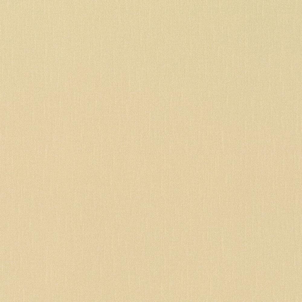 Обои Rasch Maximum New 806021