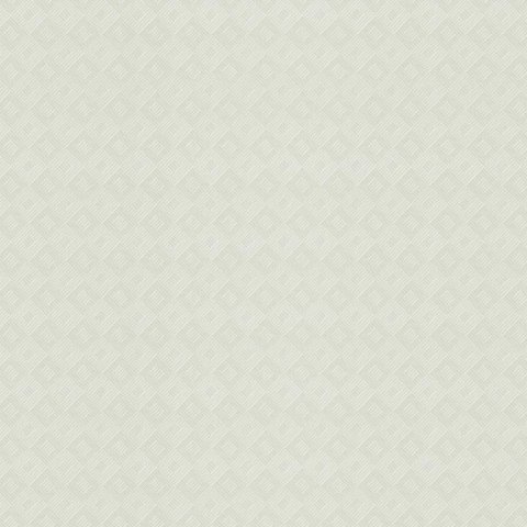 Обои Rasch Maximum New 806113