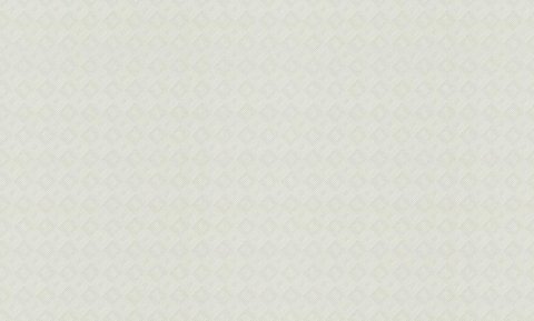 Обои Rasch Maximum New 806113