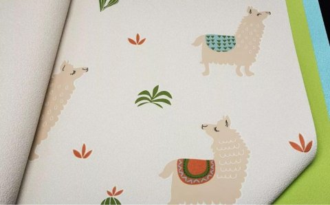 Обои Rasch Kids Teens 3 813227