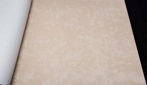 Обои Rasch Maximum 15 832372