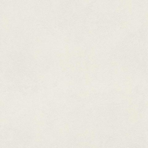 Обои Rasch Barbara 2 860115