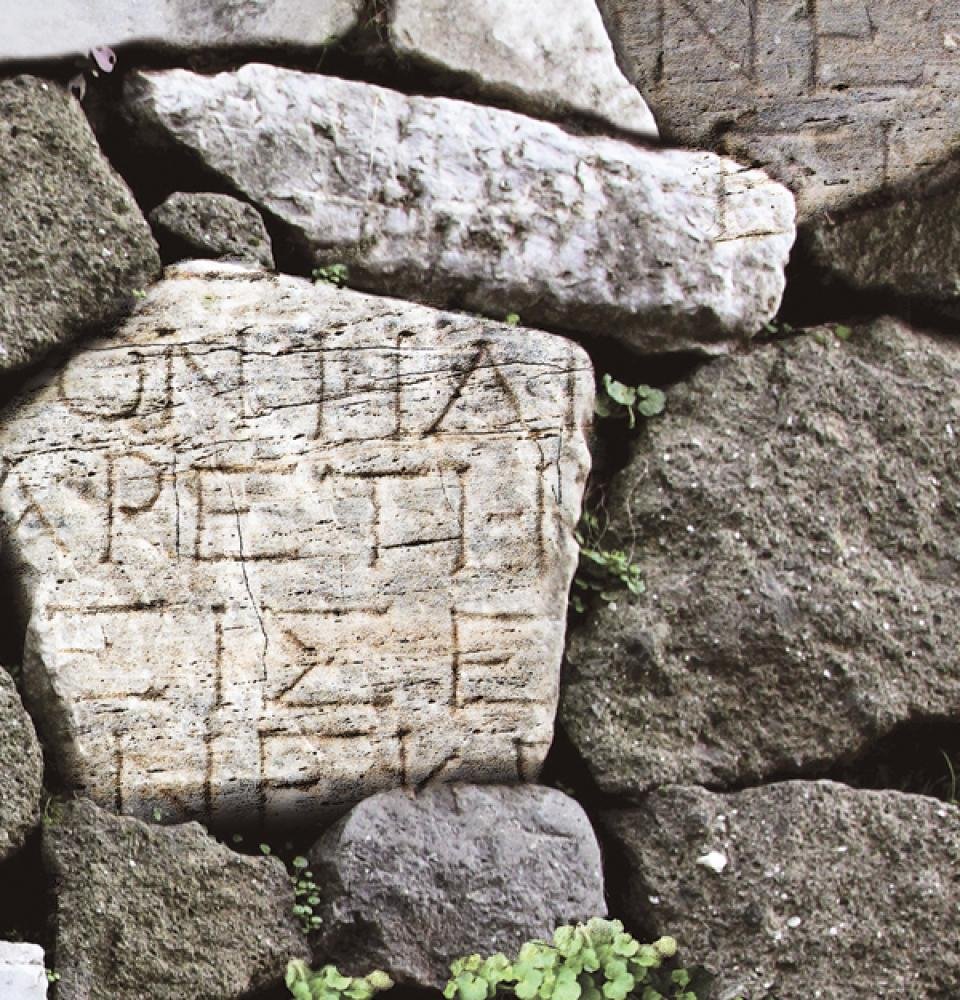 Обои Shinhan Wallcoverings Natural 1 87012-2