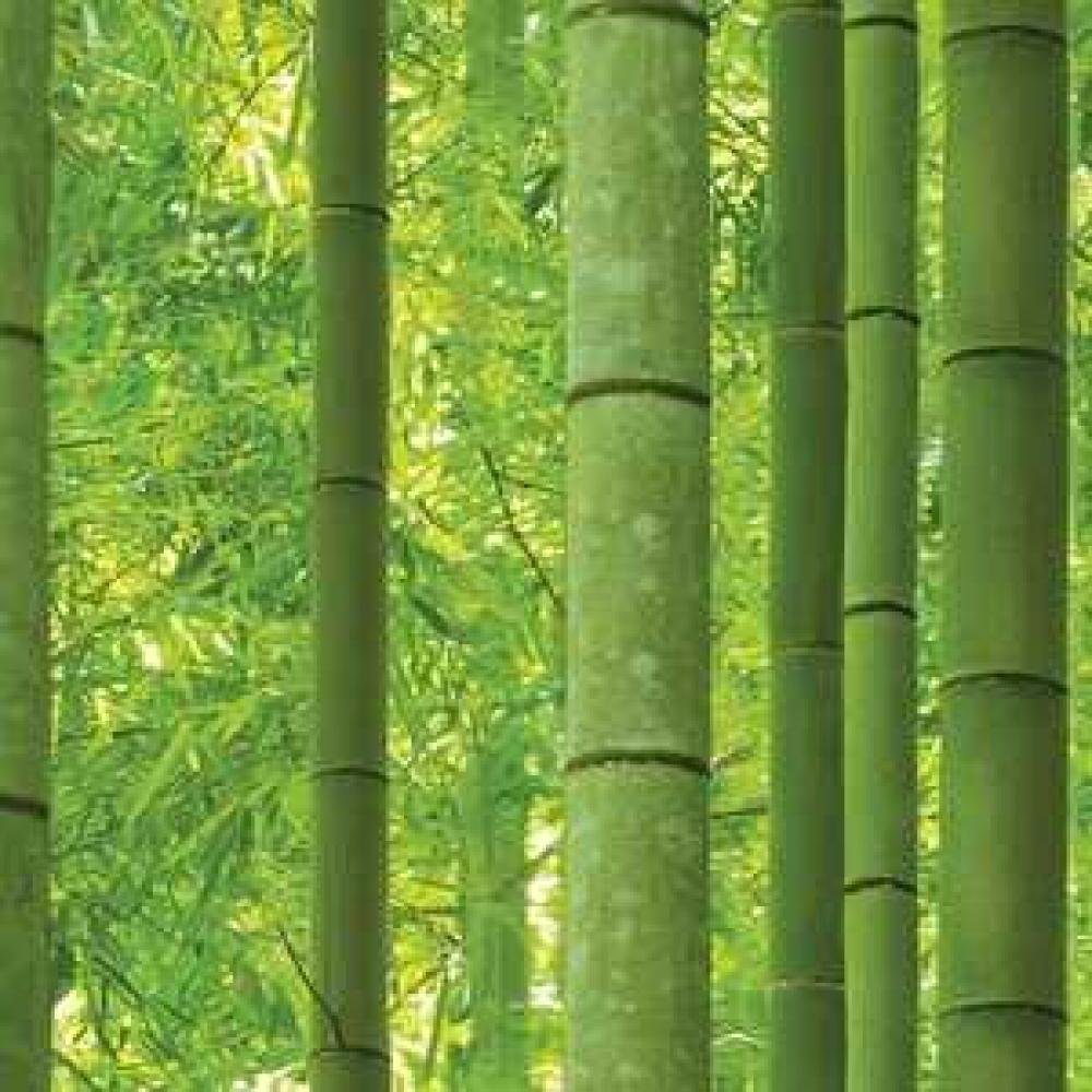 Обои Shinhan Wallcoverings Natural 2 88423-1