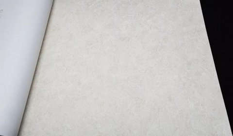 Обои Rasch Factory Style 947649