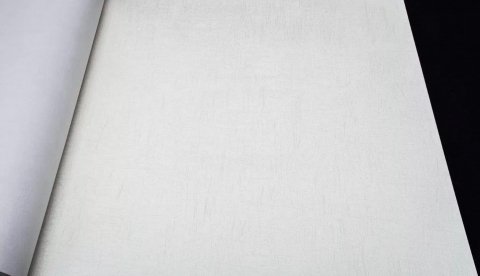 Обои AS Creation Daniel Hechter 5 95262-1