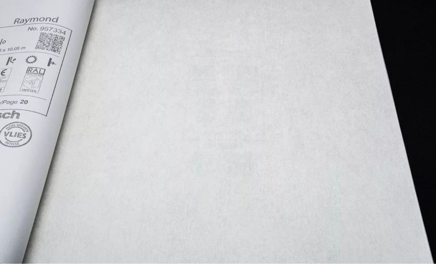 Обои Rasch Raymond 957327