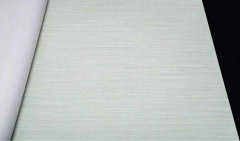 Обои Rasch Maximum 15 959314