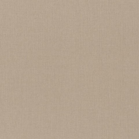 Обои Rasch Maximum 16 960709