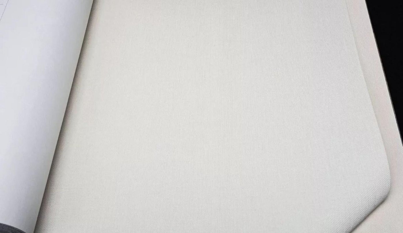 Обои Rasch Maximum 16 960754